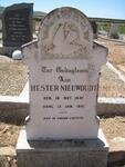 NIEUWOUDT Hester 1897-1951