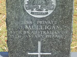 MULLIGAN J. -1917