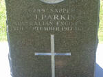 PARKIN J. -1917