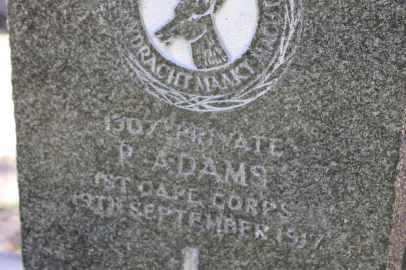 ADAMS P. -1917