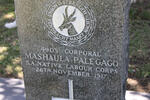 PALEGAGO Mashaula -1917