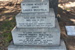 BRADFIELD John Linden 18?8-1911 :: BRADFIELD Edward Roberts 1842-1917 & Alice Anne 1853-1920