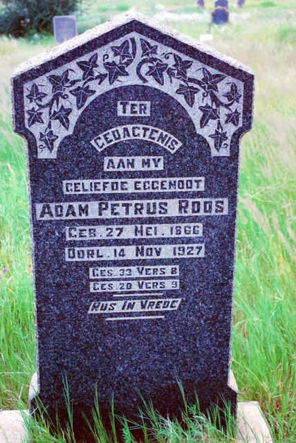 ROOS Petrus 1866-1927