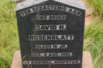 ROSENBLATT David H. -1901