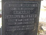 TESTER Richard Charles 1872-1906