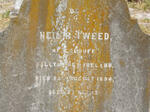 WEED Neil R. -1894