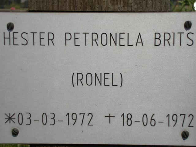 BRITS Hester Petronella 1972-1972