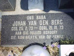 BERG Johan, van den 1973-1973