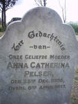 PELSER Anna Catherina 1855-1917