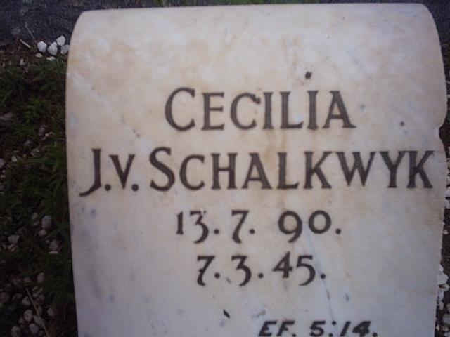 SCHALKWYK Cecilia J., v. 1890-1945