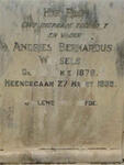 WESSELS Andries Bernardus 1878-1939