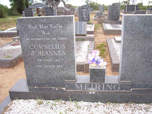 MEIRING Cornelius Johannes 1910-1966