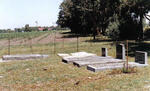 The cemetery on the farm, Langverwag