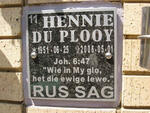 PLOOY Hennie, du 1951-2006