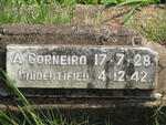 CORNEIRO Antonia -1928 :: Unidentified Merchant Seaman  -1942