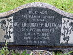 HATTINGH Hester Susanna nee BEZUIDENHOUT 1885-1969