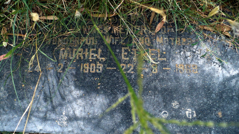 TERWIN Muriel Ethel 1909-1969