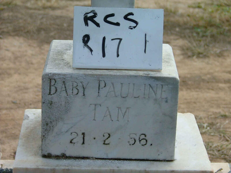 TAM Baby Pauline -1956