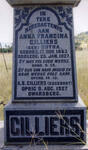 CILLIERS Anna Francina nee BOTHA 1863-1927