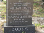 DODDS William James 1899-1971 & Susanna Gertruida FICK 1914-1980
