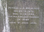 MALHERBE Petrus J.A. 1876-1954