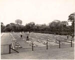 Zambia, Copperbelt, KITWE district, Nkana East Cemetery