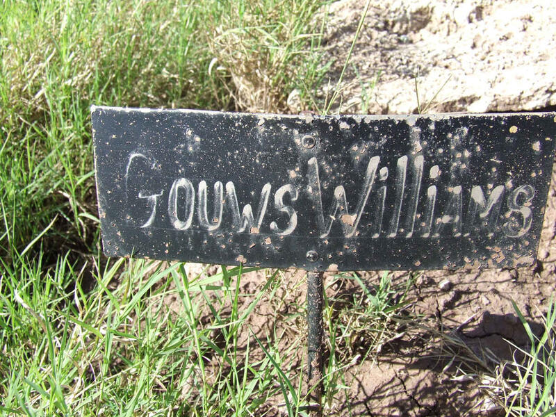 WILLIAMS Gouws