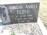 LLOYD Corigan Ashley 1986-1986