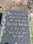 WIGGILL Wouter 1986-1986