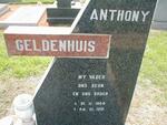 GELDENHUIS Anthony 1964-1991