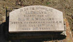 WILLIAMS Llewelyn -1914