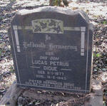DIGUE Lucas Petrus 1977-1943 :: DIGUE Pieter Hermanus 1889-1959