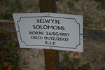 SOLOMONS Selwyn 1987-2002
