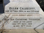 CALDECOTT Ellen -1904 :: TITTERTON  Ida Catherine -1929
