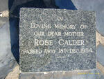 CALDER Rose -1954