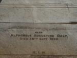 DALY Alphonsus Augustine -1889