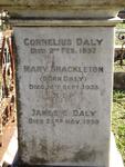 DALY Cornelius -1932 :: DALY James C. -1939 :: SHACKLETON Mary nee DALY -1933