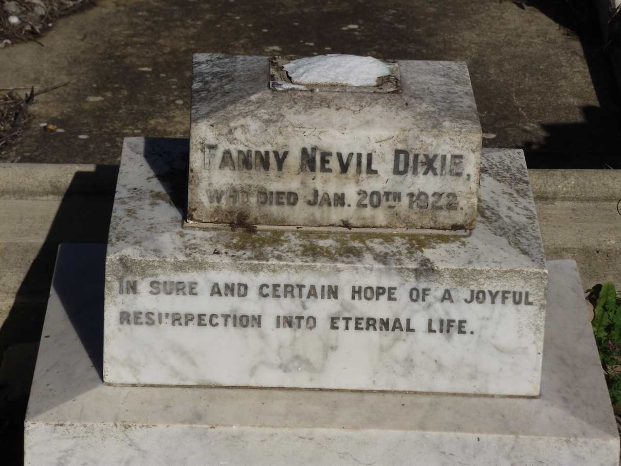 DIXIE Fanny Nevil -1922