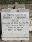JOEL Peter 1863-1962 & Fanny Johanna -1946