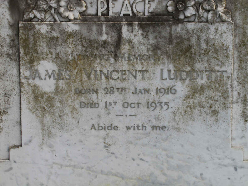 LUDDITT James Vincent 1916-1935