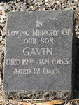 LUYT Gavin -1963