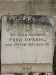 OPSAHL Fred -1921