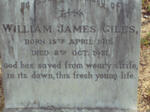 GILES William James 1915-1931