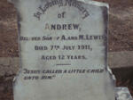 LEWIS Andrew -1912