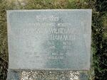 ? Emmarentia Wilhelmina HAMMAN 1873-1950