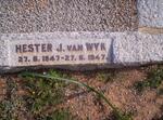 WYK Hester J., van 1947-1947