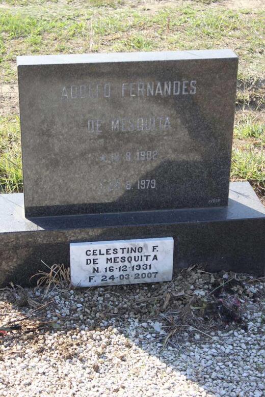 MESQUITA Adolfo Fernades, de 1902-1979 & Celestino F. 1931-2007