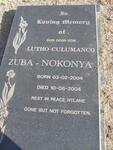 NOKONYA Lutho Culumanco, Zuba 2004-2004
