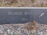 WHITAKER Mildred -1922