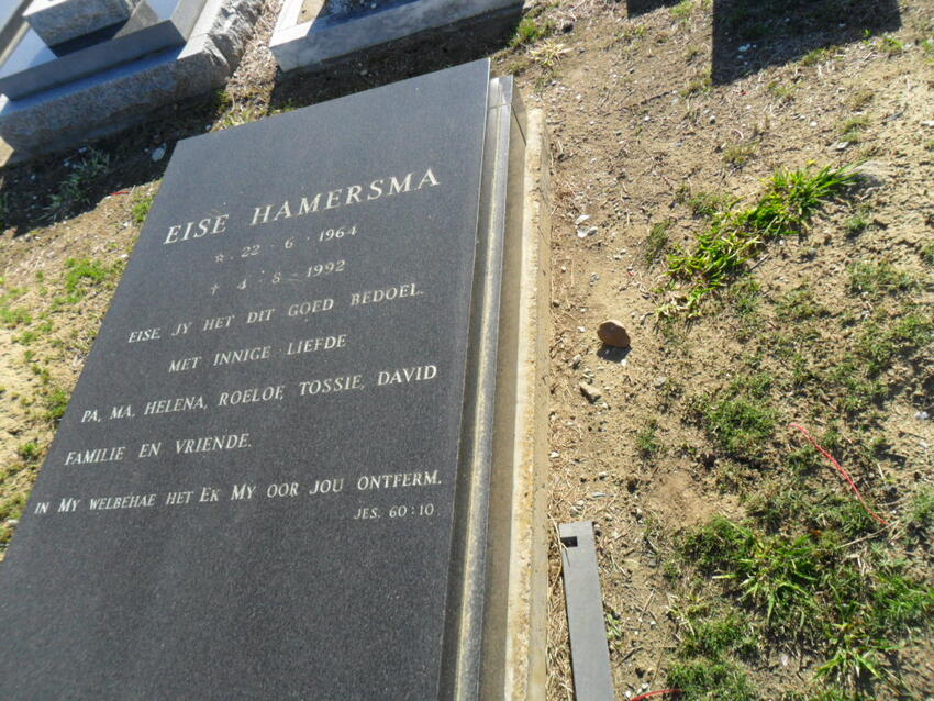 HAMERSMA Eise 1964-1992
